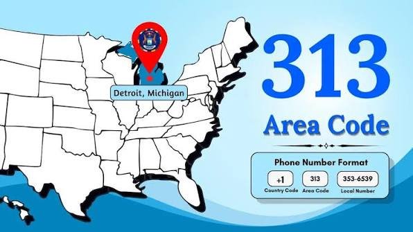313 Area Code