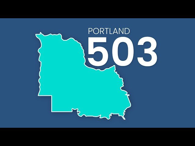 503 Area Code